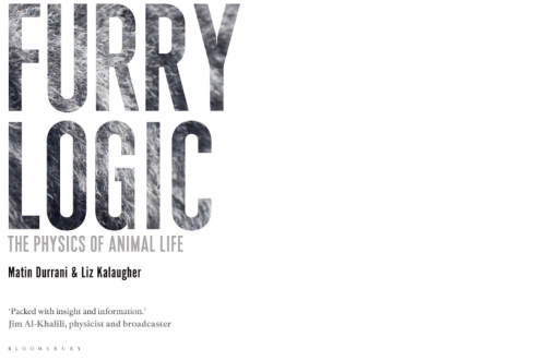 furrylogic cover lores4
